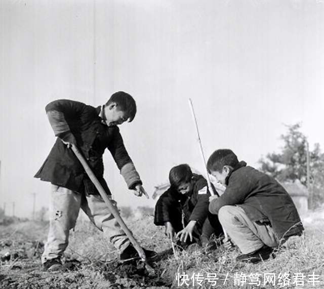 鼠王邱满囤:曾一次灭鼠80多吨,晚年被专家批评后秘方都没公开