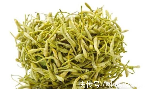 金银花|蒲公英有个“好搭档”,搭配饮用,坚持30天后,让你更年轻!