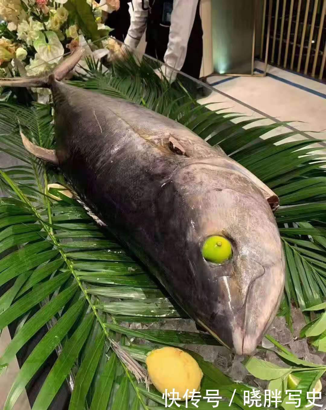 看着|金枪鱼搭配洋酒,别有一番滋味,看着口水直流,一般人还真吃不起