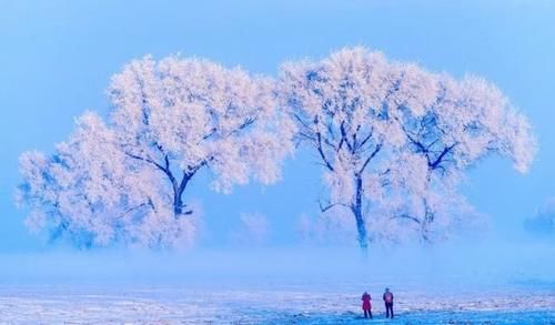 最美|去东北拍摄最美雾淞和雪景！12月15日-22日