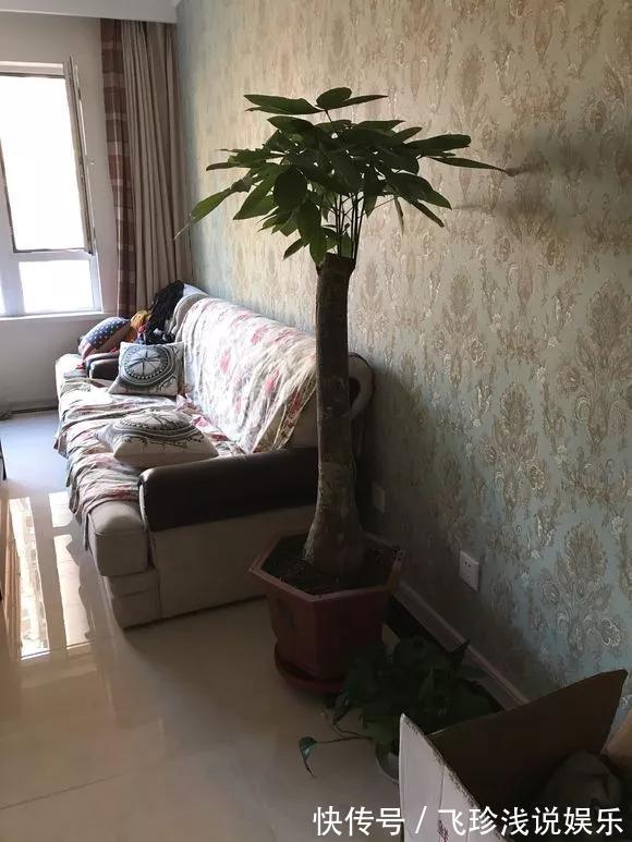 养花技巧：6种花须用小盆“挤着养”，控水好、长得旺！