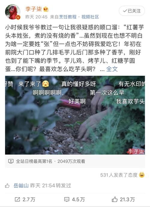 吸引|李子柒家的芋头熟了，吸引2000万人围观，小芋头也能如此精致