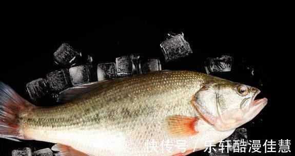 买鲈鱼时，别捡大的买，认准这4种，肉细嫩味道鲜，都是品质好鱼