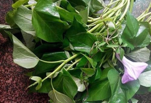 食物|女性常吃三种食物，滋补养颜，排油祛脂、皮肤光滑