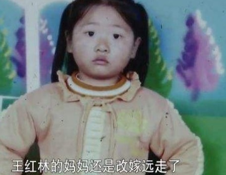 红了14年的《变形记》:本是富人的一场游戏,却毁了王红林一生