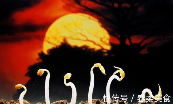 头顶|一切疾病都是阳气不足，养阳就是养命，这5个方法最养阳