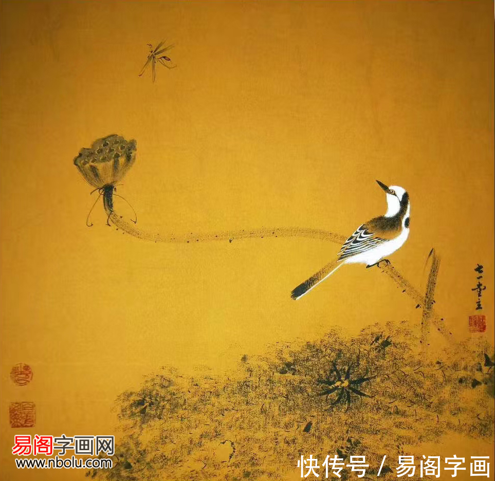 花鸟画!付厚党花鸟画 融逸趣于自然 带您走进清凉的世界