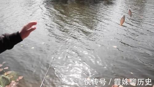 钓位钓位|为什么说夏天的钓位很好找因为就这2个地方，找不到的都是小白