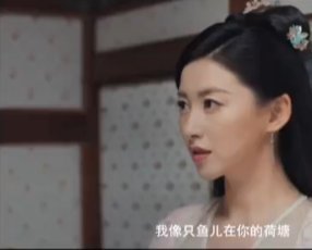 王田虎|赘婿楼舒婉是穿越来的吗 楼舒婉喜欢宁毅吗