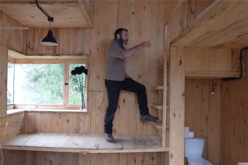 种菜|他用40棵松树,在荒山野林建起小屋,屋顶种菜生活自给自足