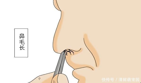 旺盛|为啥鼻毛长着长着,就会“窜”出来 鼻毛过于旺盛,说明了啥