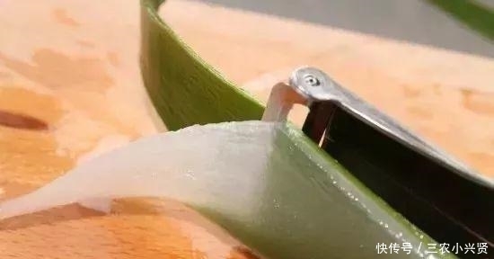 净化空气|家里养花不要瞎眼!这6种花旺财又养人,有2种花是大忌!