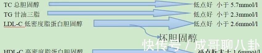 甘油三脂|血脂化验单怎么看?4项重要指标是哪些?您的血脂达标了吗?