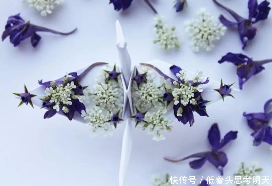 重样|每天折一只千纸鹤，他坚持了1000天不重样，女友被感动到梨花带雨