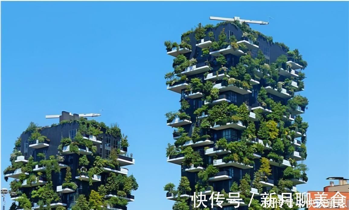 建筑研究院|被誉为“第五大发明”的新式住房,会淘汰电梯房?内行人给出答案