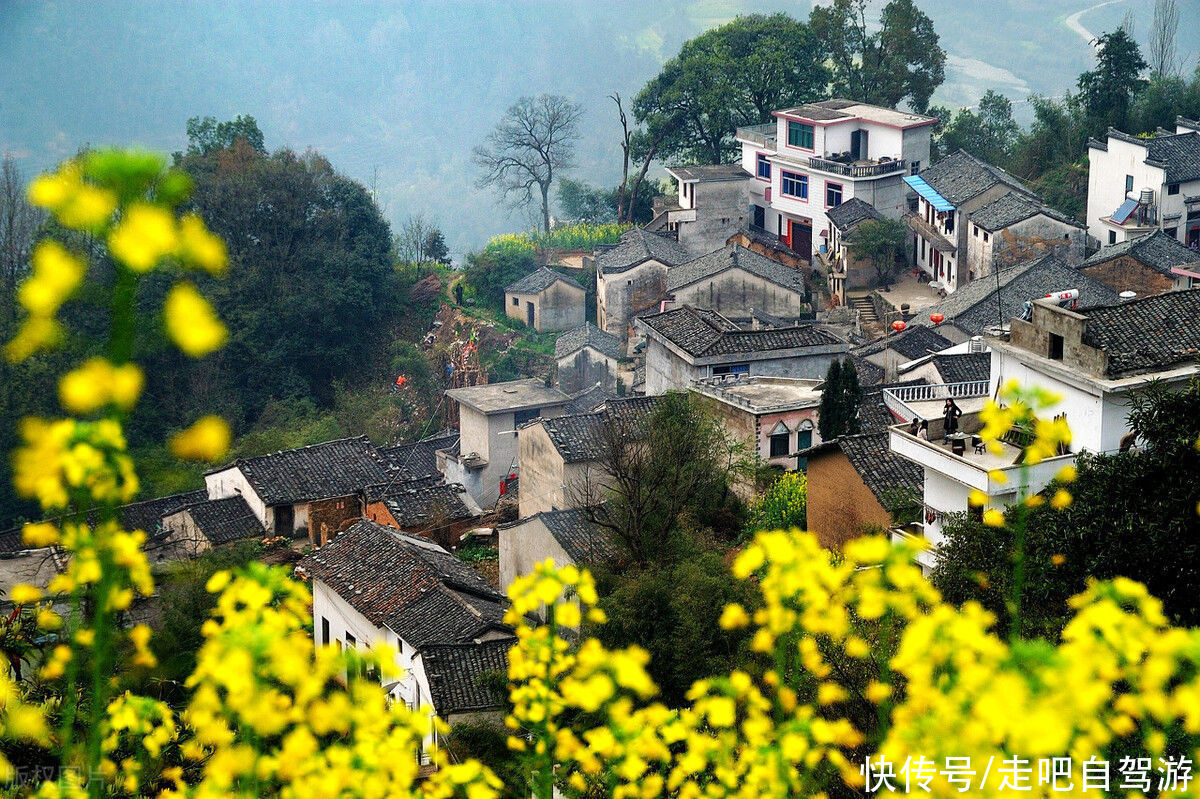 古村落|卖花渔村，只卖花不打渔的千年古村落，私藏了万亩的粉红梅花海