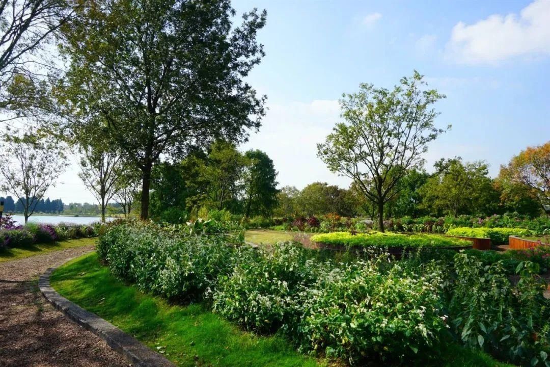  TA|有谁的冬天不曾被TA的香甜吸引过？