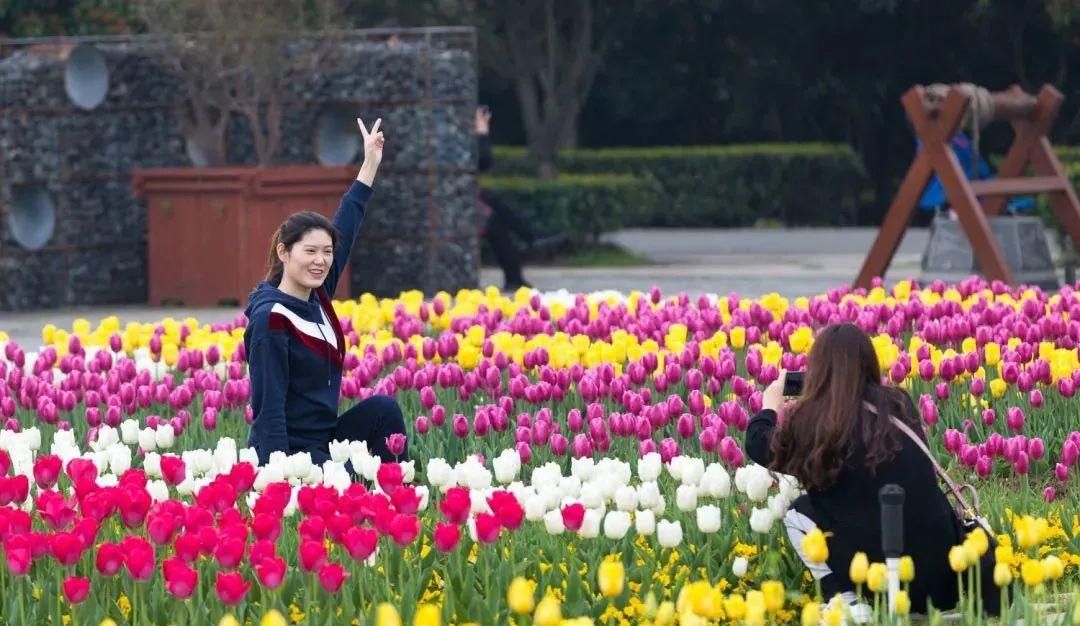 湖北省春季十大赏花游之“花漾芳菲满园，斑斓郁金香游”！