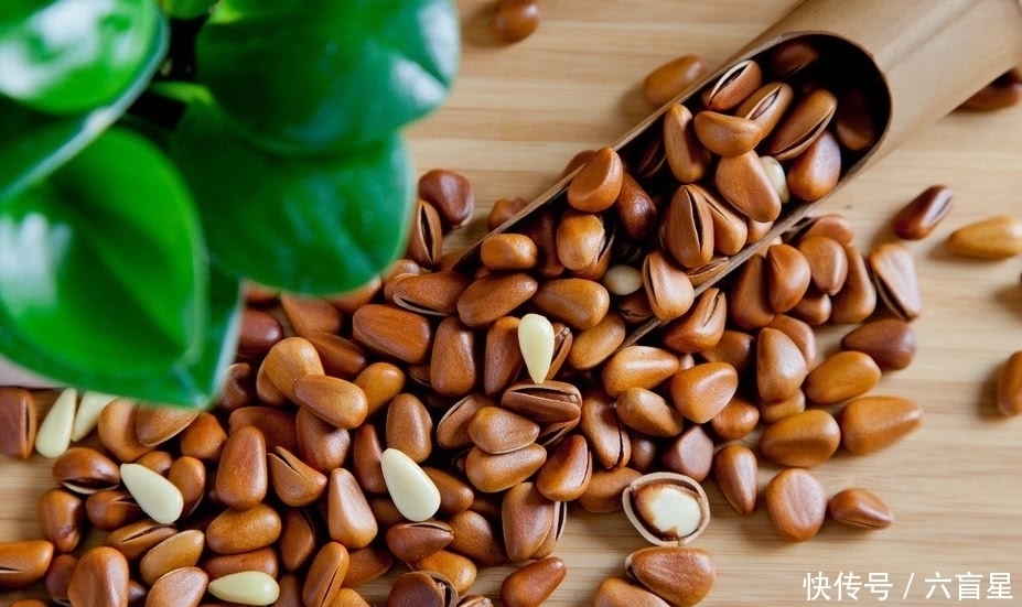 小白|以前只能用来烧火的野果,现在一斤要上百元,看看自家还有没有吧