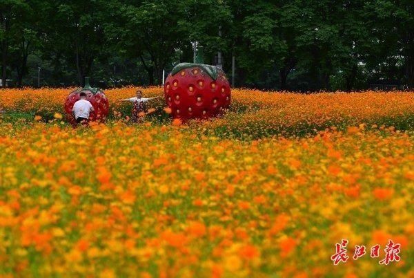 城中有处 绿野仙踪 快资讯