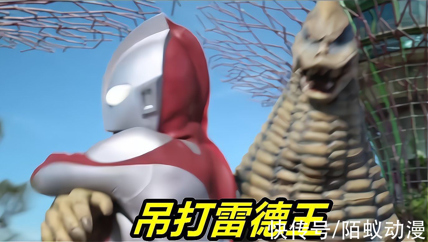 奥特曼|新加坡奥特曼第一话：雷德王被“鞭尸”，初代玩过肩摔，结花回归