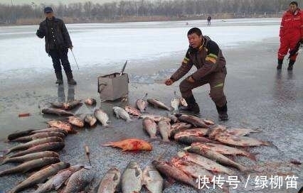 85%的钓鱼人都不知道的,垂钓冷知识,若读懂,鱼获倍增