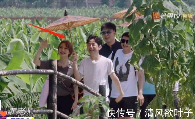湖南卫视|《向往的生活》迎来待遇最好的女嘉宾，连何炅都为她亲自撑伞！