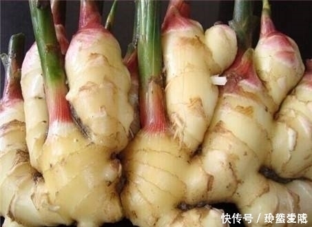 爱吃生姜的人,身体不会差,但切忌与一物同食,现在知道还不晚