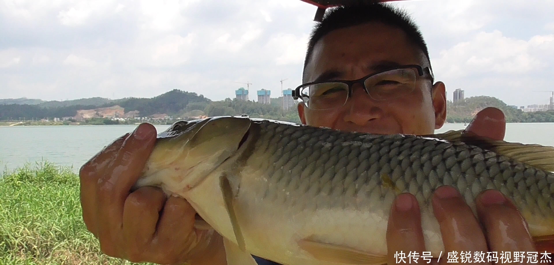 夏天|夏天炎热鱼儿会去哪儿？不同种类鱼聚集地不同，草鲤鲫鳊加鲢鳙