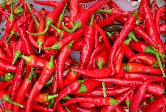 香草醛|吃辣椒是降血压还是升血压医生说了大实话,爱吃辣的人看完再吃