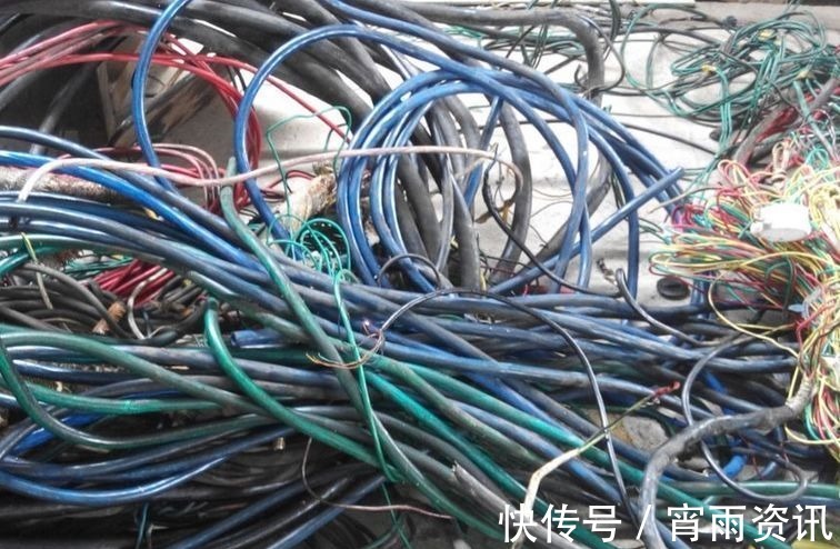 电线|养了3年三角梅,只因在盆里丢了根“老电线”,侧枝开花不停!