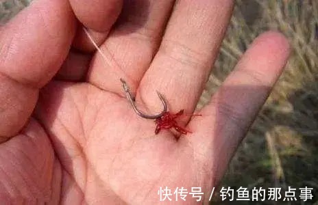 用红虫钓鱼怎么调漂?注意四个点