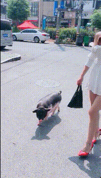 |搞笑GIF:我不是来接孩子的,我是来接女朋友的