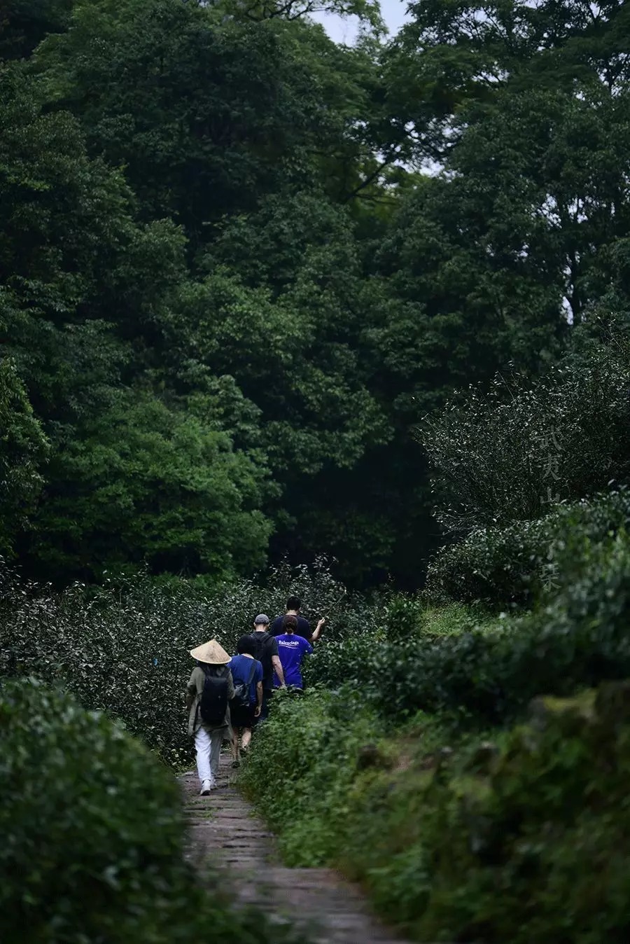 念佛|真正爱惜你的孩子,就请千万不要损伤孩子的福报!