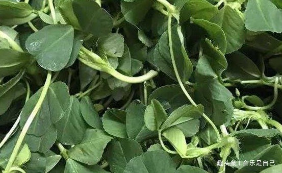 增强免疫力|女人想皮肤好,4种食物要多吃,滋阴补阴,祛皱淡斑,增强免疫力