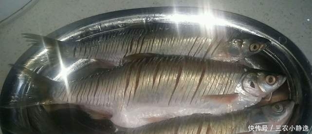 “可遇不可求”的5种河鲜，有钱难找，全吃过的是农村娃