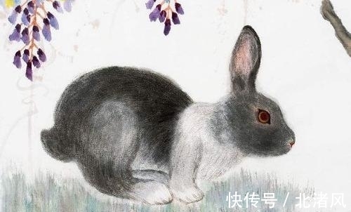 生肖兔|9月底,摆脱霉运,苦尽甜来,3生肖遇上好兆头,出门迎喜气