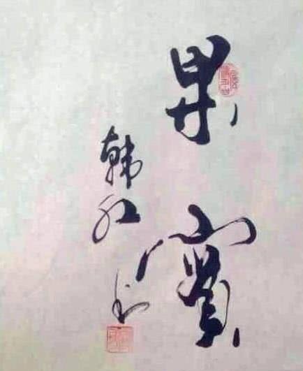 书法家&韩红虽不是书法家,但她笔法灵动飘逸,书功不输书协专家