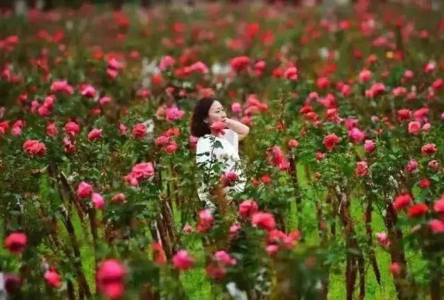 青川文旅|青川的五月有多美？这篇文章告诉您！