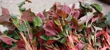 超市|告诫大家:白送都不要的3种蔬菜,一定少食用,别因贪吃闯下大祸