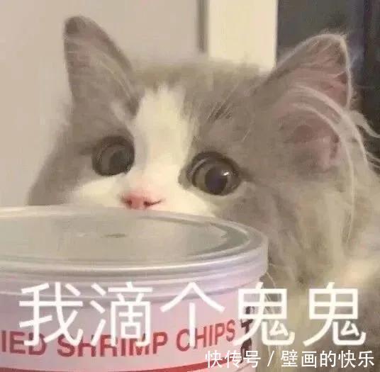 |搞笑图集:大学信息采集的黑发要求,逼疯校门口的洗发师