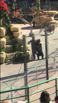 |搞笑段子GIF趣图:难道是PK输了做惩罚,男友看了都后怕,