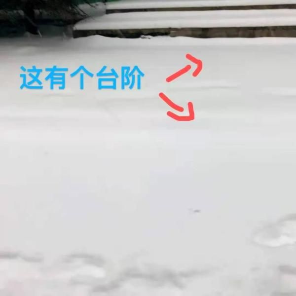 快乐|两个下雪热搜！南方大学生：是我体会不到的快乐...