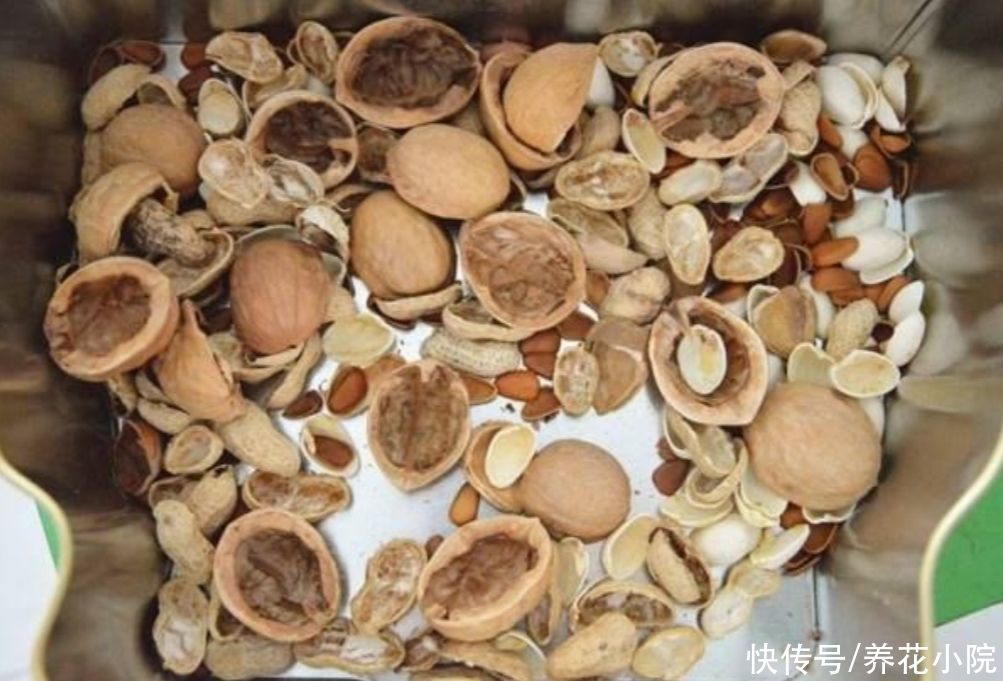 栽植|盆土不透气，花盆里加上4种“小东西”，通透性好，花卉不烂根