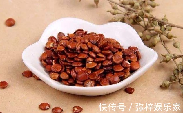 失眠多梦|晚上失眠多梦怎么办别着急,日常常见的酸枣仁,助你一觉到天亮