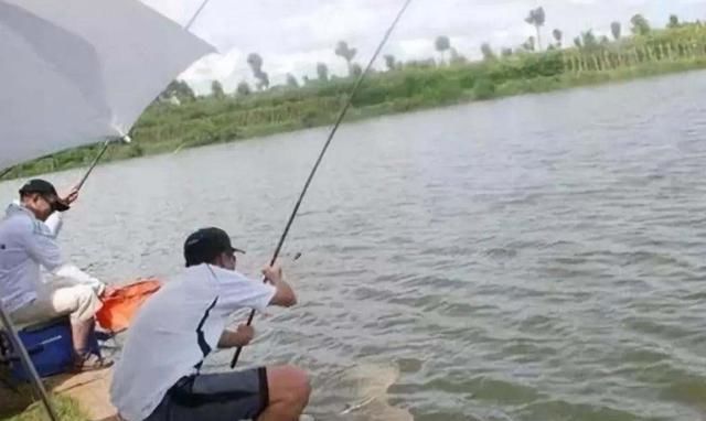 鱼情|不是跟你吹,这鲢鳙钓法用了二十年,至今依然奏效,不信就试一试