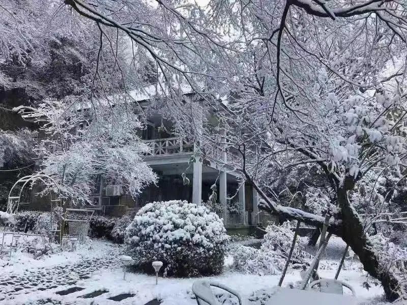 邂逅|来莫干山，邂逅一场冰雪奇缘吧！