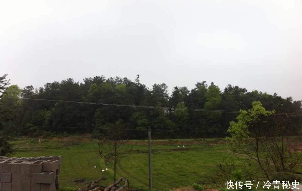 忙种|芒种——又叫“忙种”,是 二十四节气中的第九个节气