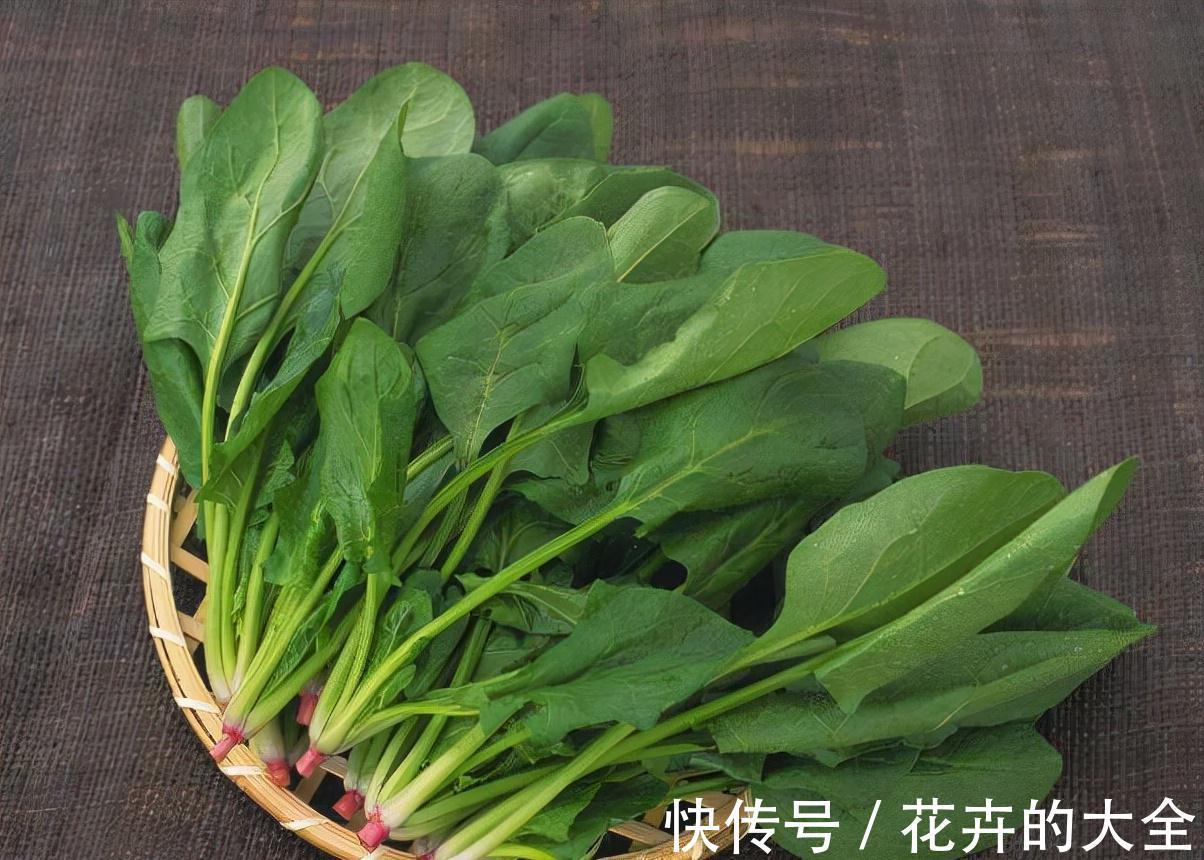 美味|秋分后,建议多吃这3种蔬菜,营养美味又去燥,一块钱一斤!好吃