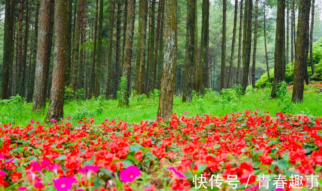 打卡|打卡重庆小众旅行地，人少景美不排队，女生拍照绝绝子